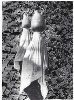 ללא כותרת קולאז 1 A3 Haneen Shekh Yosef - Collage 1