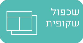 שכפול שקופית