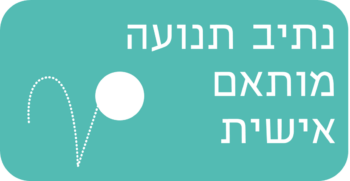 נתיב תנועה מותאם אישית
