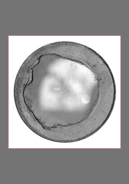 מאולף \\ Tamed מדיה מעורבת, סריקה 100cm X 100 cm 2023