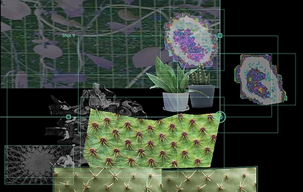 Cacti מדיה מעורבת 210 x 297 mm