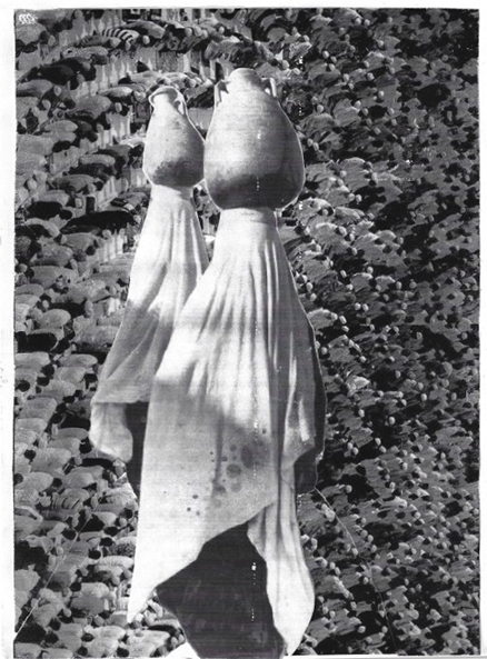 ללא כותרת קולאז 1 A3 Haneen Shekh Yosef - Collage 1