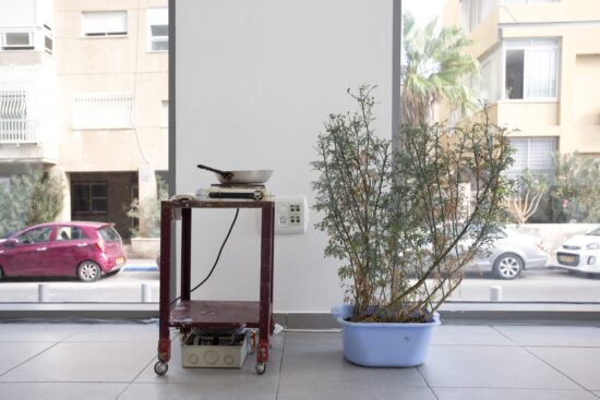 האני ח'טיב, רסאס, 2018, צילום מאיה זהבי