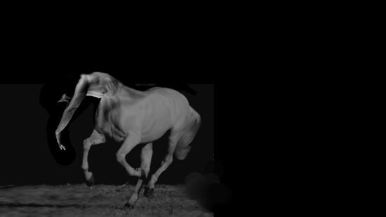 תמר גטר, חיירונה, 2017